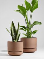 LE TAUCI 12 Inch Pots for Plants with Saucer | Ceramic Outdoor & Indoor Planter ... - Image 3