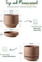LE TAUCI 12 Inch Pots for Plants with Saucer | Ceramic Outdoor & Indoor Planter ... - Image 4