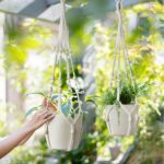 LEWESU Macrame Plant Hanger Indoor Set of 2 with 4 Hooks, Indoor Outdoor Hanging... - Image 3