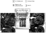 Poster Pictures of Fashion Wall Decor Wall Art - Glam Designer Decor - Glamour H... - Image 3