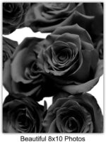 Poster Pictures of Fashion Wall Decor Wall Art - Glam Designer Decor - Glamour H... - Image 5