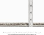 Dalyn Rugs Silk Road SR5 Chocolate 3' x 5' Indoor/Outdoor, Bedroom, Living Room,... - Image 3