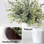 4 Pack Small Fake Plants in White Pulp Pot for Home Decor, Artificial Plants Ind... - Image 5