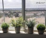4 Pack Small Fake Plants in White Pulp Pot for Home Decor, Artificial Plants Ind... - Image 7