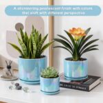 EFISPSS Ceramic Planter 4+5+6 Inch Ceramic Flower pots for Indoor Plants with Dr... - Image 6