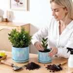 EFISPSS Ceramic Planter 4+5+6 Inch Ceramic Flower pots for Indoor Plants with Dr... - Image 9