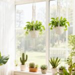 Mkono 2 Packs 43 Inch Macrame Plant Hanger Large for up to 12 Inch Pot Extra Lon... - Image 4