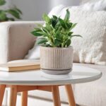 SURE YUESI Speckle Gray Ceramic Plant Pots Set of 3 (4.3”+5.5”+6.7”) Indoor Stri... - Image 5