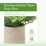 ALAGIRLS 4 Pack Small Fake Plants, 10" Artificial Plants Indoor Eucalyptus/Rosem... - Image 4