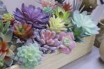 DECOROUS Fake Succulents Unpotted - 20 Pack - Realistic Succulent Plants Artific... - Image 4