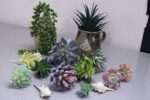DECOROUS Fake Succulents Unpotted - 20 Pack - Realistic Succulent Plants Artific... - Image 5