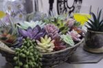 DECOROUS Fake Succulents Unpotted - 20 Pack - Realistic Succulent Plants Artific... - Image 6