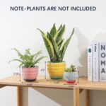 Selamica Ceramic Plant Pots, Indoor Flower Pots for Indoor Plants, 3.5+4.6+5.5 P... - Image 3
