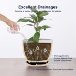 Selamica Ceramic Plant Pots, Indoor Flower Pots for Indoor Plants, 3.5+4.6+5.5 P... - Image 4