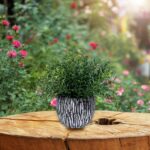 Winlyn Set of 3 Artificial Potted Plants Faux Eucalyptus Rosemary Boxwood Greene... - Image 6