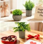 AUUGUU Artificial Potted Plants Faux Greenery in Cement Pots for Shelf, Bookshel... - Image 4