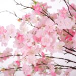 INXUGAO 12 PCS Faux Cherry Blossom Branches Décor 22.83 Inch Fake Artificial Che... - Image 4