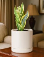 D'vine Dev 6.5 Inch Ceramic Planter Pot with Drainage Hole and Saucer, Indoor Cy... - Image 3