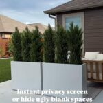 THE BLOOM TIMES Artificial Topiary Cedar Trees Outdoor 4FT Tall 2 Set, Realistic... - Image 10