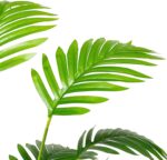 Artificial Plant in Pot Fake Tree Trunks Leaves Faux Potted for Indoor Outdoor M... - Image 7