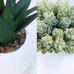 Winlyn Set of 3 Assorted Artificial Succulent Plants in White Concrete Pots Faux... - Image 4