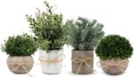 4 Pack Small Fake Plants in White Pulp Pot for Home Decor, Artificial Plants Ind... - Image 2
