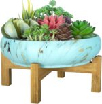 ARTKETTY Succulent Pots - 10 Inch Large Bonsai Pots with Drainage Stand, Ceramic... - Image 2