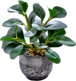 AlphaAcc Artificial Plants Potted Real Looking Small Faux Plant with Rustic Blac... - Image 2