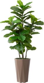 Artificial Fiddle Leaf Fig Plant Indoor 5FT Faux Fig Tree with Mocha Diamond Pla... - Image 2