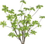 CISDUEO 3 Pcs Artificial Green Leaves Stem Plants Faux Floral Stems Fake Leaves ... - Image 2