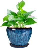 Ceramic Modern Glaze Succulent Planter Pot with Drainage Hole and Saucer 6 Inch ... - Image 2