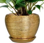 Ceramicfor Indoor Plant Pot 6 Inch - Ceramic Pot for Plants Outdoor Planter with... - Image 2