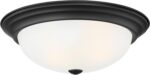 DESIGNERS FOUNTAIN Reedley 2-Lights Flush Mount Ceiling Light, 11 Inch Lighting ... - Image 2