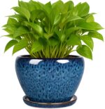 Deep Dream 6 Inch Plant Pots- Ceramic Planter Pot with Drainage Hole and Saucer,... - Image 2