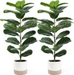 Der Rose 2 Pack 30" Artificial Fiddle Leaf Fig Tree, Mid-Size Realistic Plants I... - Image 2
