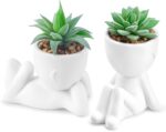 Der Rose 2 Pack Fake Plants Succulents Plants Artificial for Living Room Home Ba... - Image 2