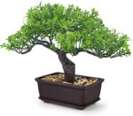 Der Rose 8 Inch Fake Plants Artificial Bonsai Tree Ficus for Home Office Desk Ta... - Image 2