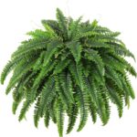 Dkaltm Single Silky Artificial Boston Fern Bush, 49Inch Large Artificial Ferns f... - Image 2