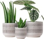 Docrin 3-Pack Ceramic Planters Set - 6.5"+5.3"+4" Dual-Tone Flower Pots with Dra... - Image 2