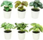 Freyalife 6 Pack Fake Plants for Room Decor,Mini Artificial Potted Plants for Ho... - Image 2