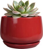 G EPGardening Ceramic Pot for Plants - 6 Inch Plant Pot with Drainage and Cerami... - Image 2