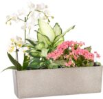 GardenBasix Elongated Self Watering Planter Pots Window Box 5.5 x 16 inch Indoor... - Image 2