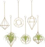 Gold Hanging Air Plants Holders Small Tillandsia Airplants Hangers 6 Pack Geomet... - Image 2