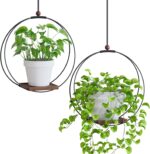 Hanging Planters for Indoor Plants: Macrame Plant Hanger with Sturdy Wood Base, ... - Image 2