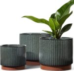 LE TAUCI Ceramic Plant Pots with Drainage Holes, Set of 3, 8+6.7+5.5 Inch Stripe... - Image 2