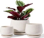 LE TAUCI Plant Pots, 4.1+5.1+6.5 inch, Set of 3, Ceramic Planters with Drainage ... - Image 2