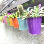 LaLaGreen Small Hanging Planters Outdoor - 10 Pack, 4 Inch Rainbow Planter Color... - Image 2