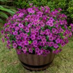 Lnoicy 20 Bundles Artificial Flowers for Outdoor Fake Plants for Spring Decorati... - Image 2