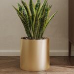 Metal Plant Pot with Drainage Hole,Mid Century Modern 7 inch Round Pot Indoor Ou... - Image 2
