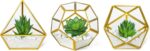 Mkono Artificial Succulent in 3 Pack Mini Glass Geometric Terrarium, Miniature P... - Image 2